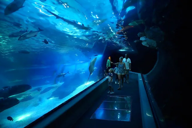 Aquarium viewing tunnel at Maui Ocean Center