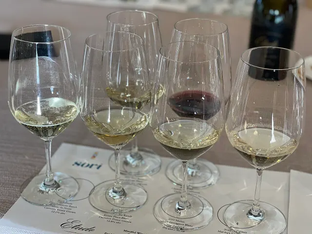 A wine tasting in Napa Valley
