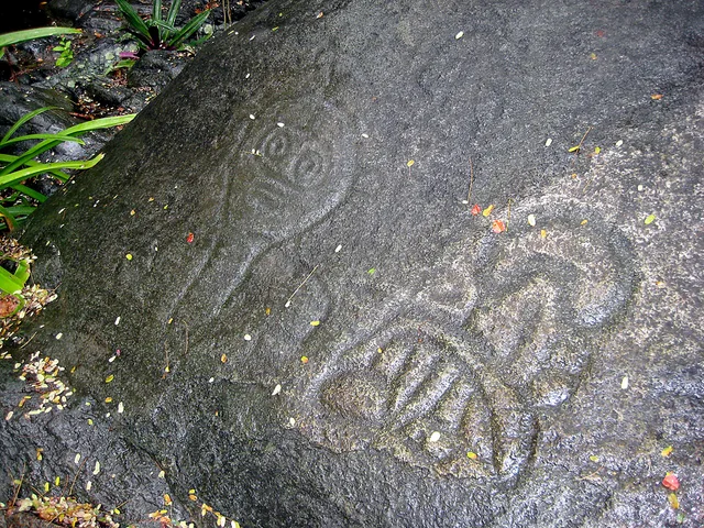 Petroglyphs along the Reef Bay Trail, St. John