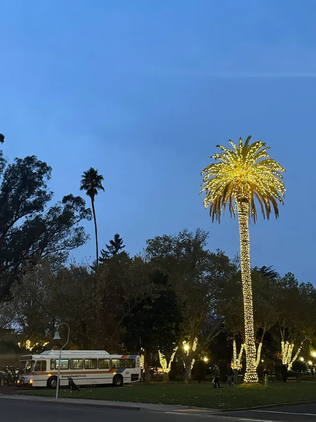 Trees and open space at Sonoma Plaza
