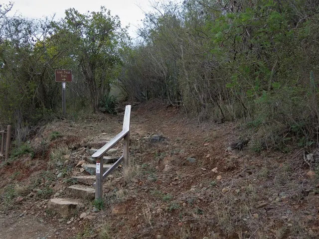 Lind Point trail on St. John